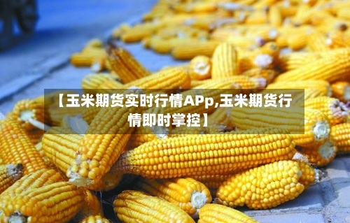 【玉米期货实时行情APp,玉米期货行情即时掌控】