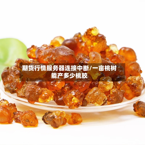 期货行情服务器连接中断/一亩桃树能产多少桃胶