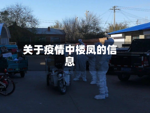 关于疫情中楼凤的信息-第3张图片