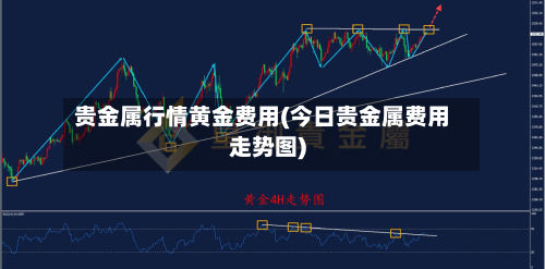 贵金属行情黄金费用(今日贵金属费用走势图)