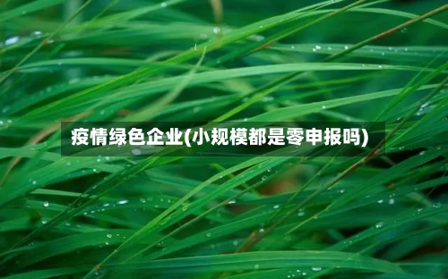 疫情绿色企业(小规模都是零申报吗)