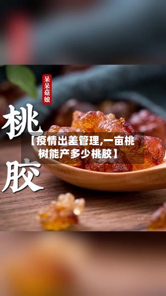 【疫情出差管理,一亩桃树能产多少桃胶】-第3张图片