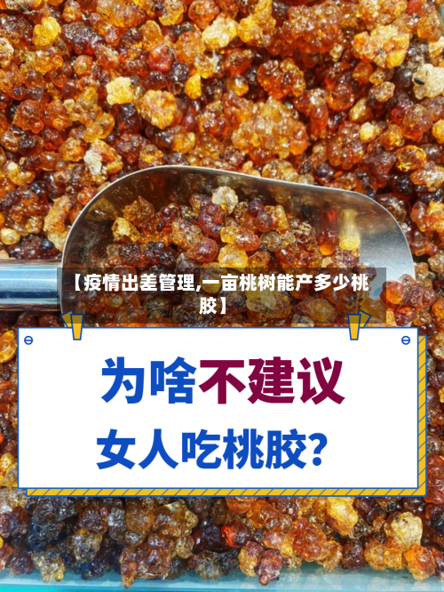 【疫情出差管理,一亩桃树能产多少桃胶】-第2张图片