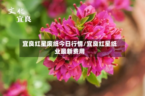宜良红星废纸今日行情/宜良红星纸业最新费用