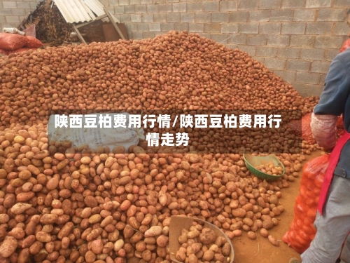 陕西豆柏费用行情/陕西豆柏费用行情走势-第2张图片