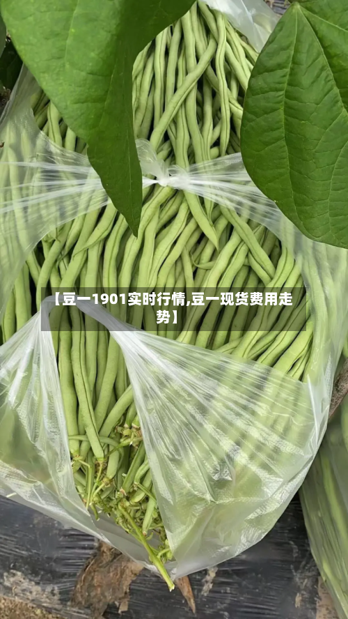 【豆一1901实时行情,豆一现货费用走势】-第2张图片