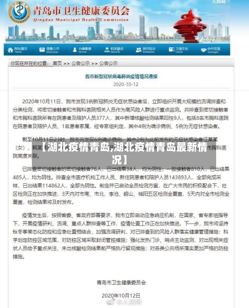 【湖北疫情青岛,湖北疫情青岛最新情况】-第2张图片