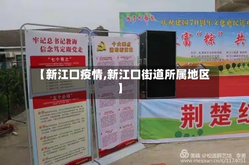 【新江口疫情,新江口街道所属地区】