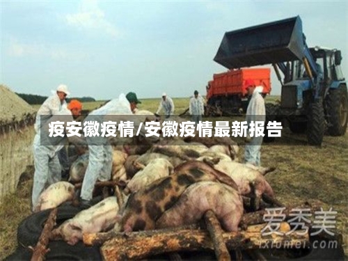 疫安徽疫情/安徽疫情最新报告-第2张图片