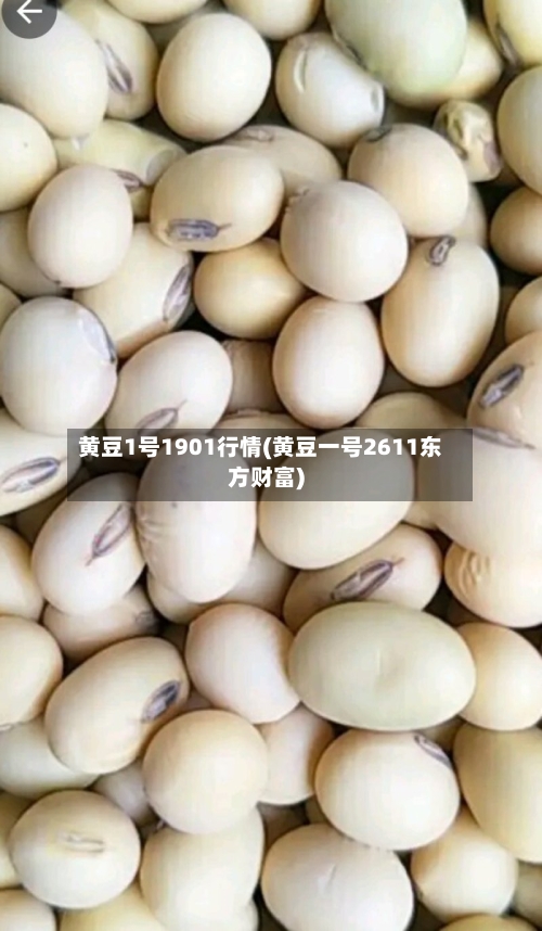 黄豆1号1901行情(黄豆一号2611东方财富)-第3张图片