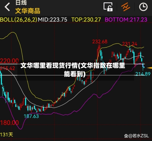 文华哪里看现货行情(文华指数在哪里能看到)