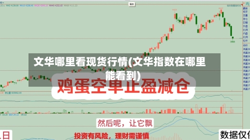 文华哪里看现货行情(文华指数在哪里能看到)-第2张图片