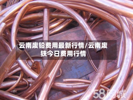 云南废铅费用最新行情/云南废铁今日费用行情