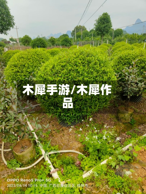 木犀手游/木犀作品-第2张图片