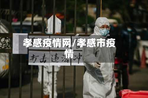 孝感疫情网/孝感市疫情