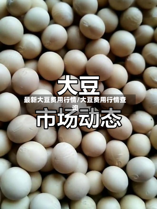 最新大豆费用行情/大豆费用行情查询-第3张图片