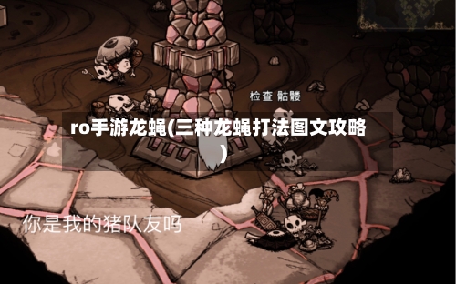 ro手游龙蝇(三种龙蝇打法图文攻略)-第2张图片