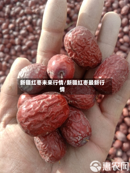 新疆红枣未来行情/新疆红枣最新行情-第2张图片