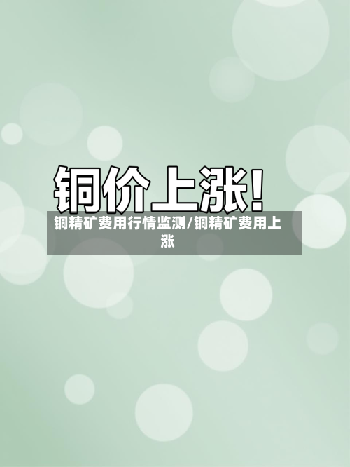 铜精矿费用行情监测/铜精矿费用上涨