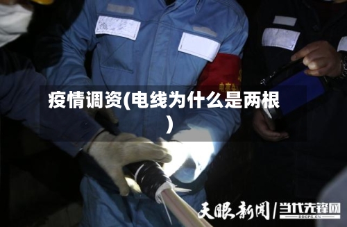 疫情调资(电线为什么是两根)-第3张图片