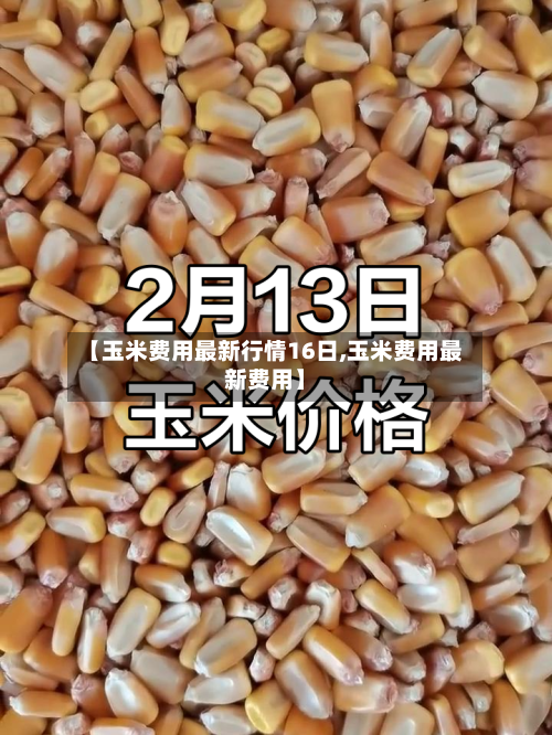 【玉米费用最新行情16日,玉米费用最新费用】