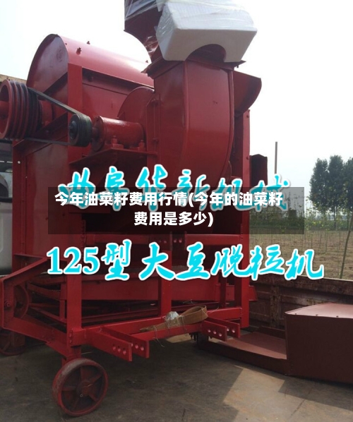 今年油菜籽费用行情(今年的油菜籽费用是多少)