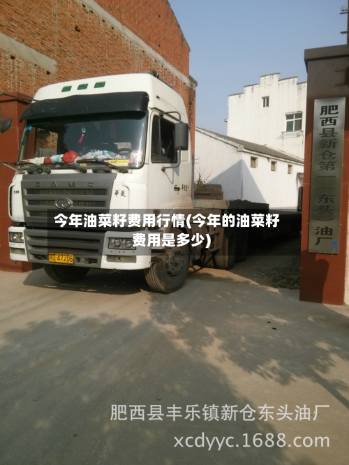 今年油菜籽费用行情(今年的油菜籽费用是多少)-第2张图片