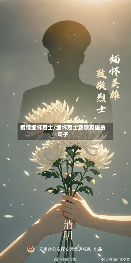 疫情缅怀烈士/缅怀烈士致敬英雄的句子