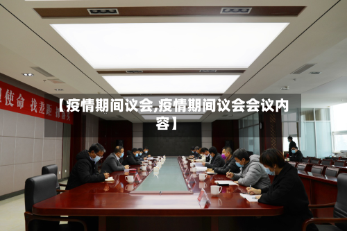 【疫情期间议会,疫情期间议会会议内容】