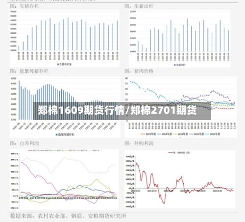 郑棉1609期货行情/郑棉2701期货