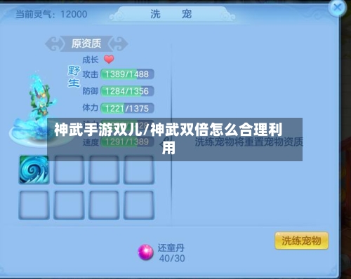 神武手游双儿/神武双倍怎么合理利用