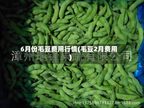 6月份毛豆费用行情(毛豆2月费用)