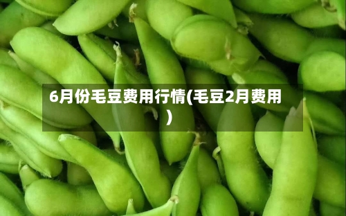 6月份毛豆费用行情(毛豆2月费用)-第2张图片