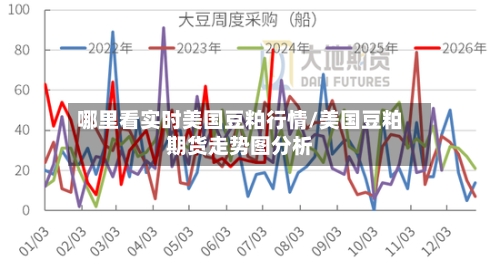 哪里看实时美国豆粕行情/美国豆粕期货走势图分析