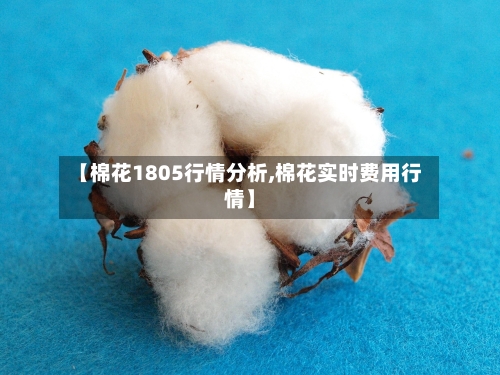 【棉花1805行情分析,棉花实时费用行情】