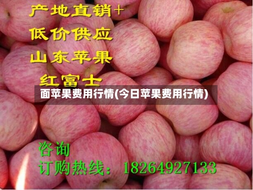面苹果费用行情(今日苹果费用行情)-第2张图片