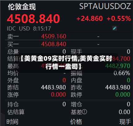 【美黄金09实时行情,美黄金实时行情一盎司】-第2张图片