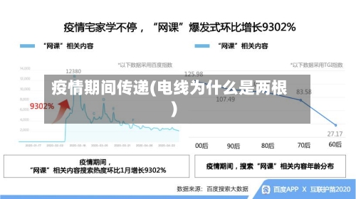 疫情期间传递(电线为什么是两根)