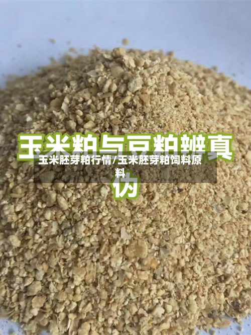 玉米胚芽粕行情/玉米胚芽粕饲料原料