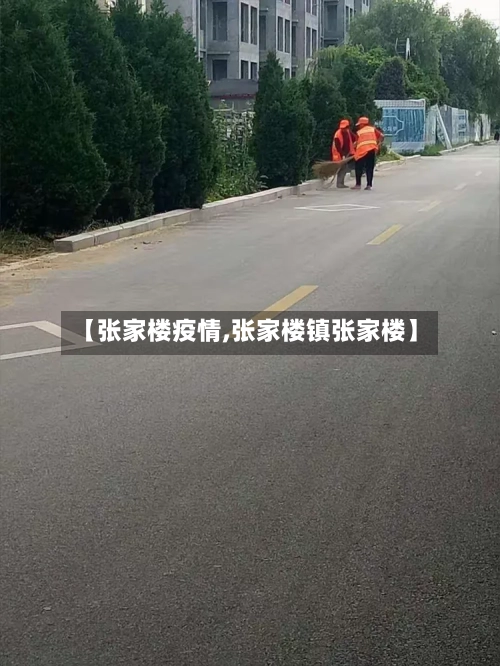 【张家楼疫情,张家楼镇张家楼】