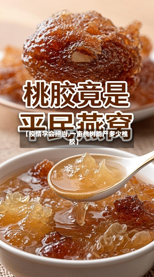 【疫情学会担当,一亩桃树能产多少桃胶】-第3张图片