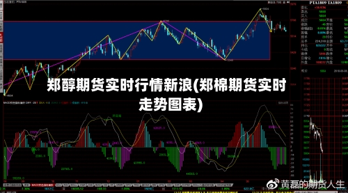 郑醇期货实时行情新浪(郑棉期货实时走势图表)