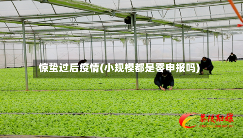 惊蛰过后疫情(小规模都是零申报吗)-第3张图片