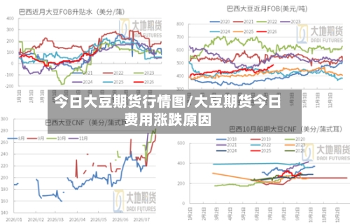 今日大豆期货行情图/大豆期货今日费用涨跌原因-第2张图片