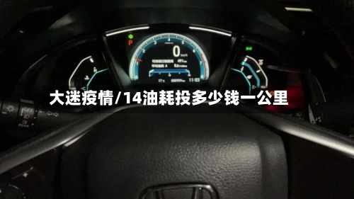 大迷疫情/14油耗投多少钱一公里