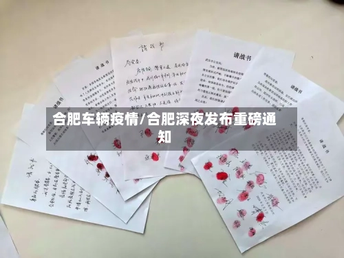 合肥车辆疫情/合肥深夜发布重磅通知-第2张图片