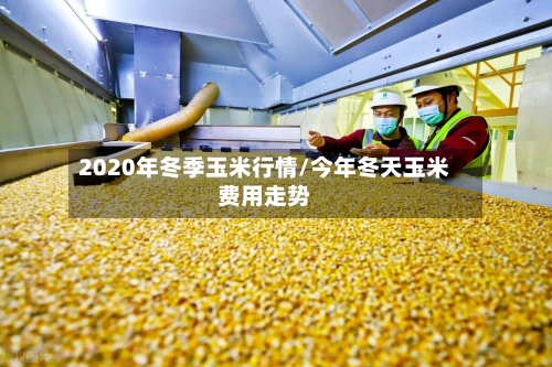 2020年冬季玉米行情/今年冬天玉米费用走势