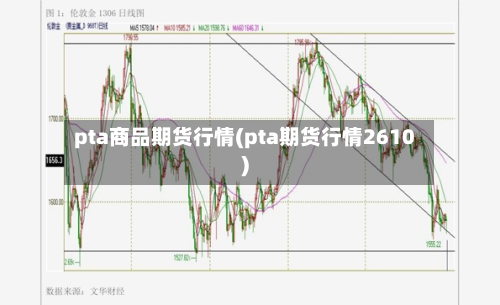 pta商品期货行情(pta期货行情2610)-第2张图片