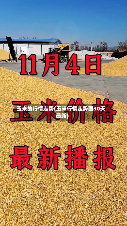 玉米的行情走势(玉米行情走势图30天最新)-第3张图片