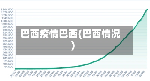 巴西疫情巴西(巴西情况)-第2张图片